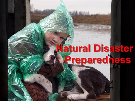 Natural Disaster Preparedness - Emergency Animal Care Braselton