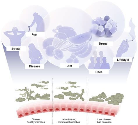 Frontiers Recent Advances In Understanding The Structure And Function