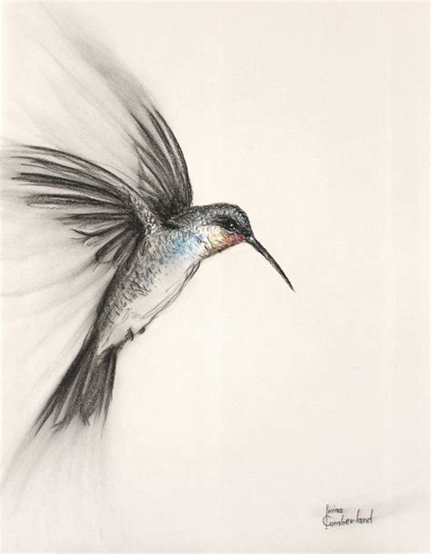 Original Bird Art Charcoal Drawing Of A Flying By Irinacumberland