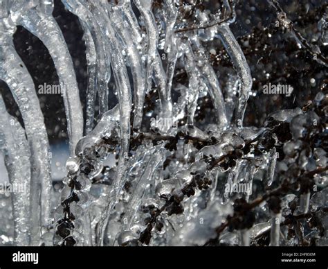 Freezing Cold Outdoors Hi Res Stock Photography And Images Alamy