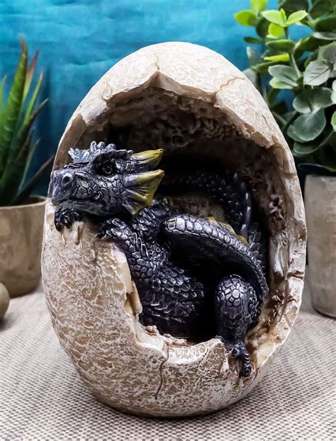 Ebros T Fossil Raeon Sunlight Dragon Hatchling Breaking Out Of Egg Shell Decorative Figurine