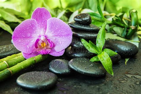 Spa Concept With Zen Stones Orchid Flower And Bamboo Stock Image