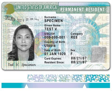 How To Check Green Card Delivery Status At Chandra Norris Blog