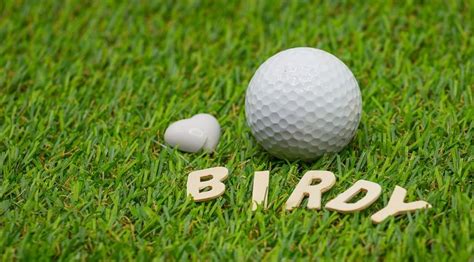 What Is A Birdie In Golf Golfing Terms Explained For Everyone Online