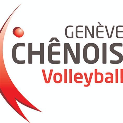 D Tails Sur Le Match Ch Nois Gen Ve Volleyball Vs Stv St Gallen