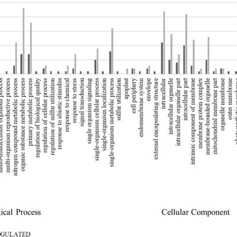 Biological Processes Cellular Components And Molecular Functions Of