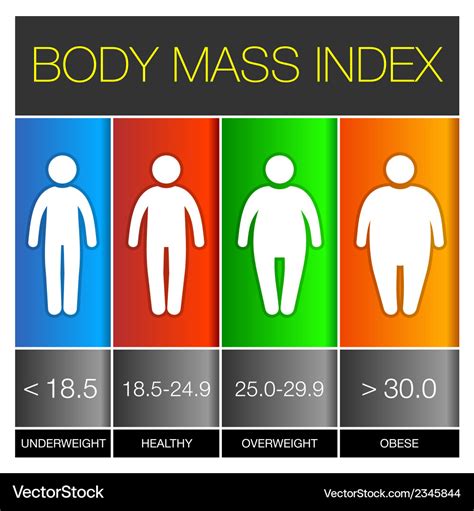 Body Mass Index Infographic Icons Royalty Free Vector Image