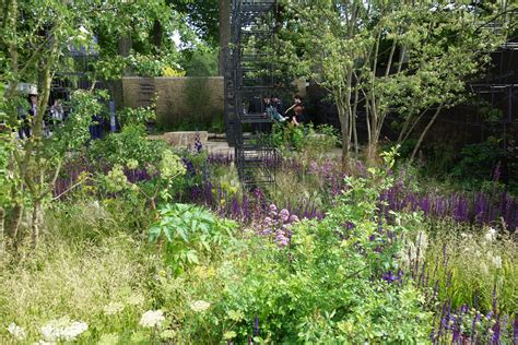 Rhs Chelsea Flower Show 2017 The Surrey Edit