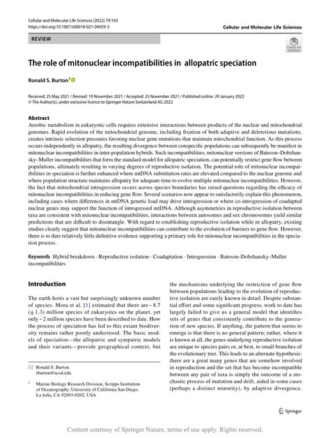 The Role Of Mitonuclear Incompatibilities In Allopatric Speciation