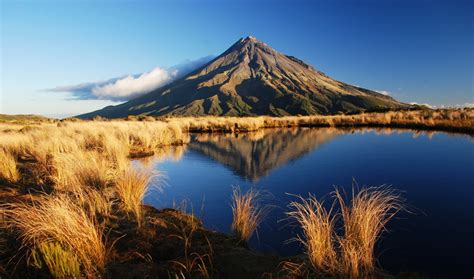 Nz Nature