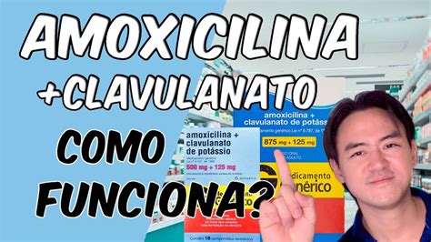 Amoxicilina Clavulanato Como Funciona YouTube