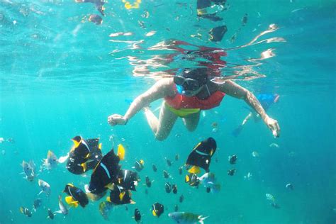 Snorkeling In Puerto Vallarta Mexico – Discover The Most Popular Snorkeling Spots in Puerto ...