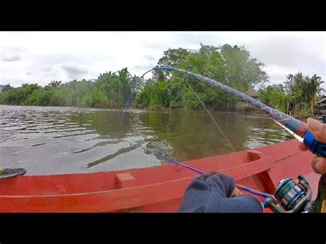 Menjelajahi Spot Mancing Udang Terbaru Hobi Mancing Youtube