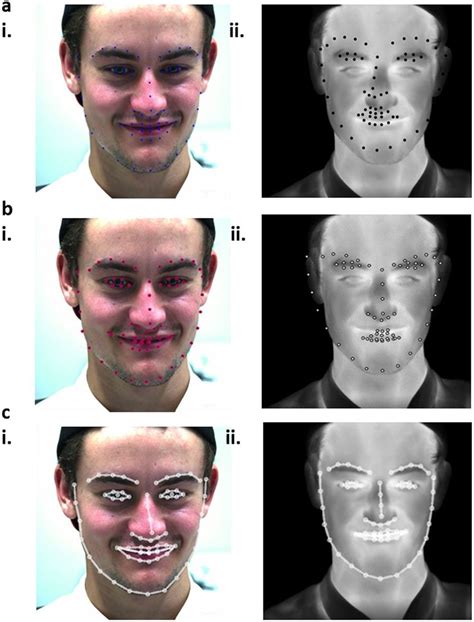 Facial Landmark Estimation Selected Samples Of The Landmarks Estimated