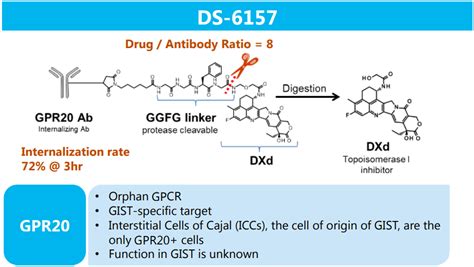 Self Renew Gpcr