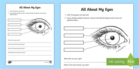 All About My Eyes Science Activity Hecho Por Educadores