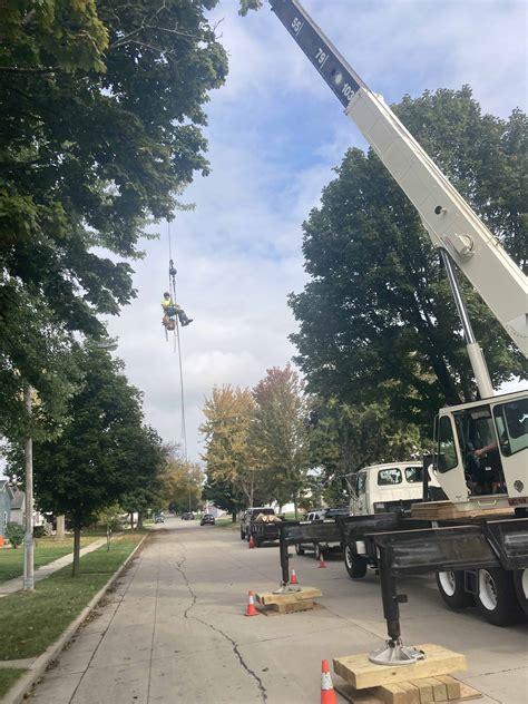 Emergency Tree Removal Storm Damage Tree Removal Services