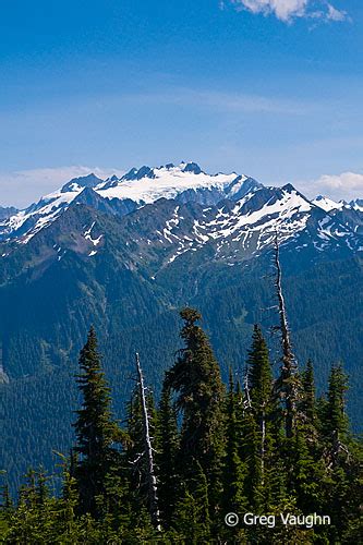 High Divide Trail Olympic National Park Wanders And Wonders