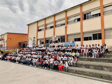 Los colegios Alfonso XI Andalucía y Virgen del Pilar participan en