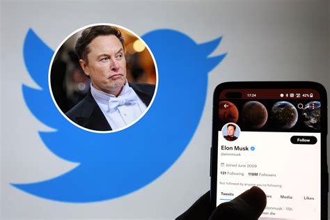 Elon Musks Free Speech Talk Slammed After Twitter Suspends