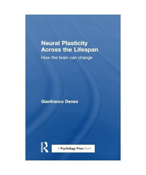 Neural Plasticity Across The Lifespan How The Brain Can Change