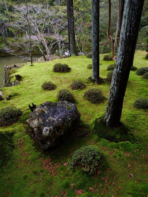 Сад мхов | Japanese garden, Nature, Garden