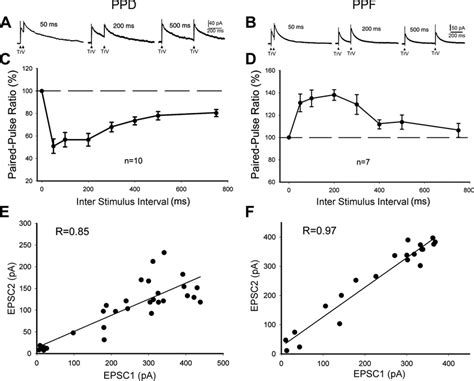 Properties Of Paired Pulse Depression Ppd And Paired Pulse