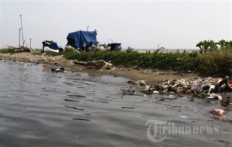 Pulau Reklamasi Pulau G Yang Ditetapkan Anies Jadi Pemukiman Foto