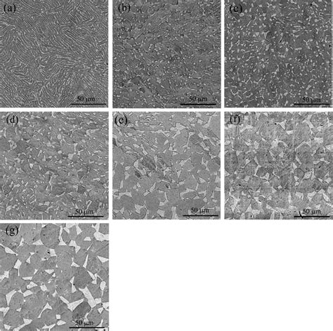 Sem Micrograph Of Ti Al V Alloy In Initial State And After Annealing