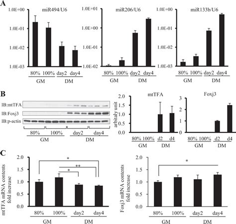 Figure 3 From Microrna 494 Regulates Mitochondrial Biogenesis In