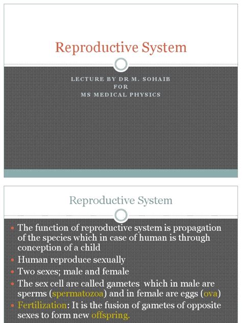 Reproductive System Lecture By Dr M Sohaib For Ms Medical Physics