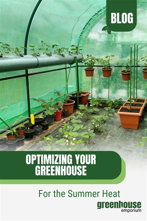 How Does A Greenhouse Work In Summer Ultimate Guide