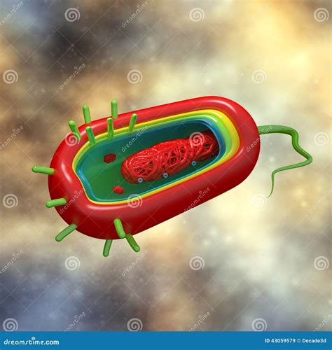 Cholera Cell Anatomy - in fluid