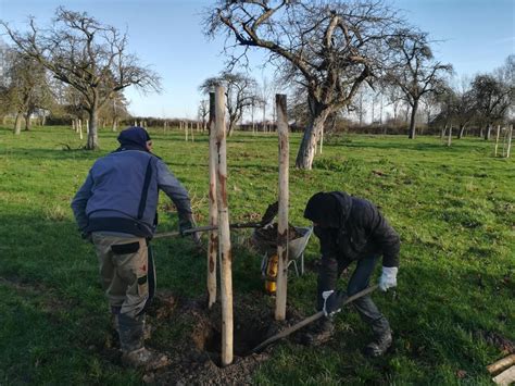 Plant Samen Met Ons Een Hoogstamboomgaard Regionale Landschappen