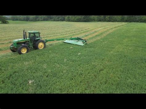 Mowing Alfalfa For Haylage YouTube