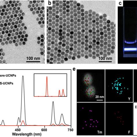 Characterization of UCNPs and CS-UCNPs. (a and b) TEM images of the ...
