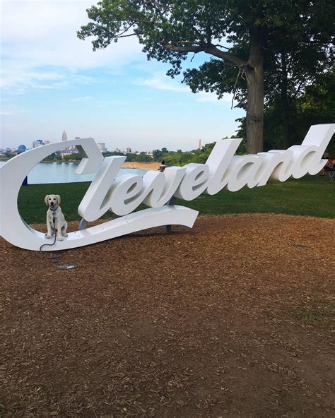 Dog-Friendly Cleveland Bucket List — The Cleveland Bucket List