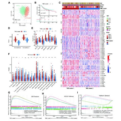 Identification Of The Tme Subtypes And Analysis Of Biological Download Scientific Diagram