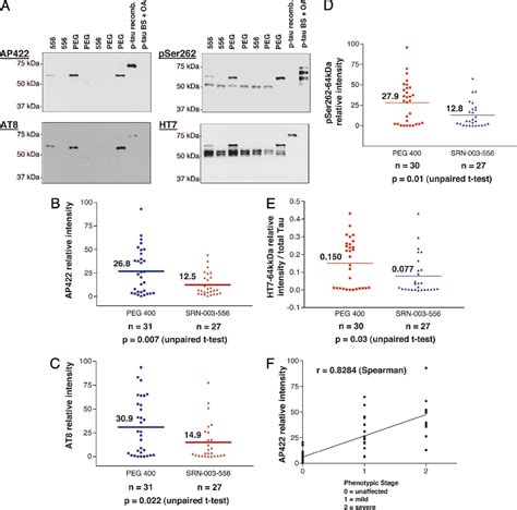 Figure From An Inhibitor Of Tau Hyperphosphorylation Prevents Severe