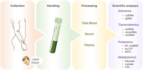 Pre Analytical Considerations In Biomarker Research Focus On