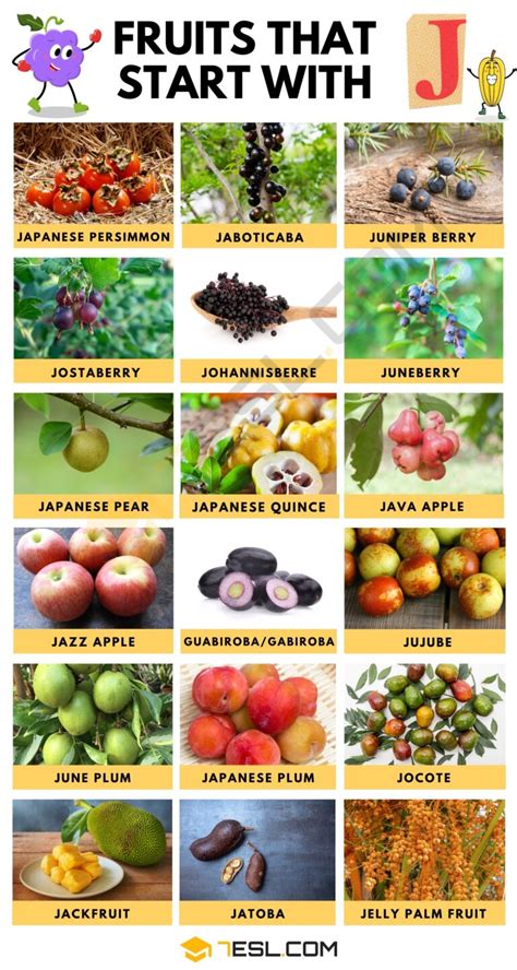 Fruits That Start With J In English Esl