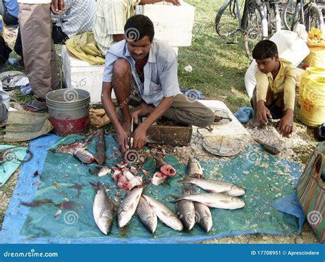 Fish market editorial photo. Image of cutting, vendor - 17708951