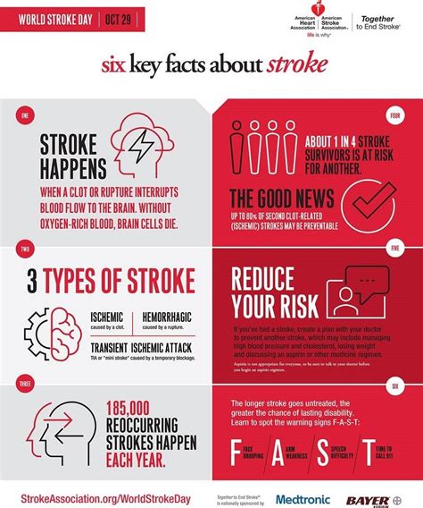 Pin On Free Heart And Cardiology Infographics