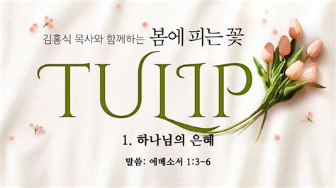 230301 베델수요예배 봄에 피는 꽃 Tulip 제1강하나님의 은혜 김홍식 목사 Youtube