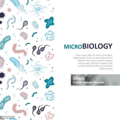 Spanduk Dengan Berbagai Bakteri Mikrobiologi Kartu Yang Dapat Dicetak Dengan Mikroorganisme Dan