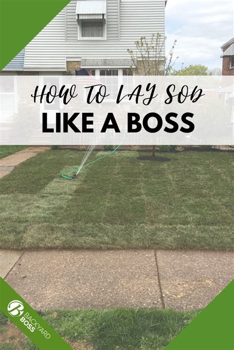 How To Lay Sod Quick And Easy Guide To Installing A New Lawn How To