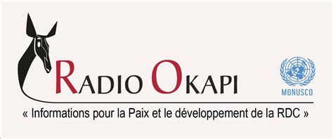 20 Ans De Radio Okapi Quelles Sont Les Perspectives Radio Okapi