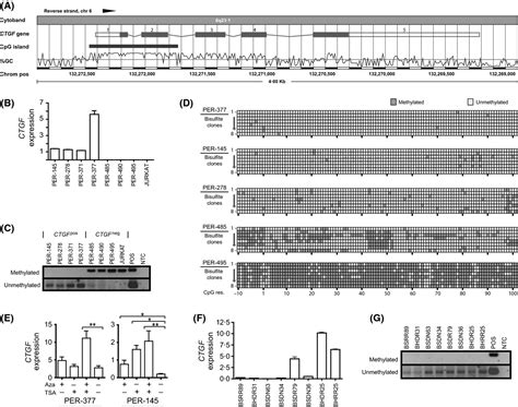 Hypomethylation Of The Ctgf Gene Locus Is A Common Feature Of