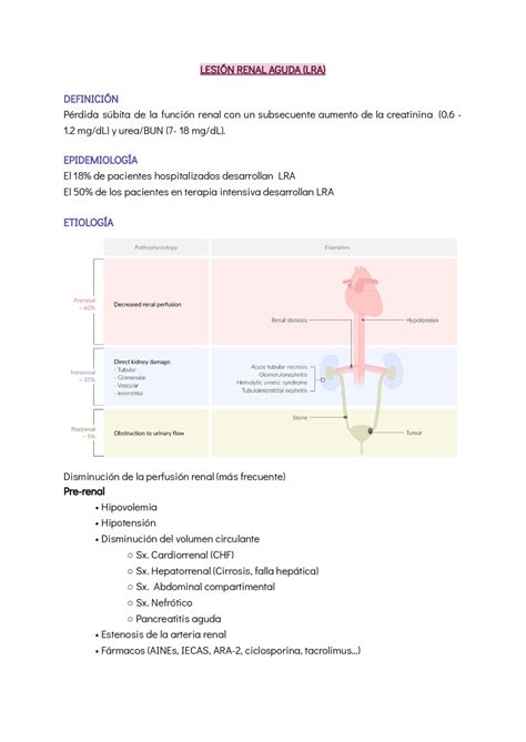 Lesión renal aguda y enfermedad renal crónica Resúmenes de