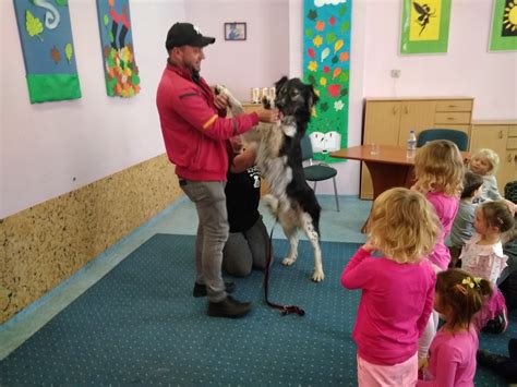 Wiatowy Dzie Zwierz T Wojew Dzka I Miejska Biblioteka Publiczna W